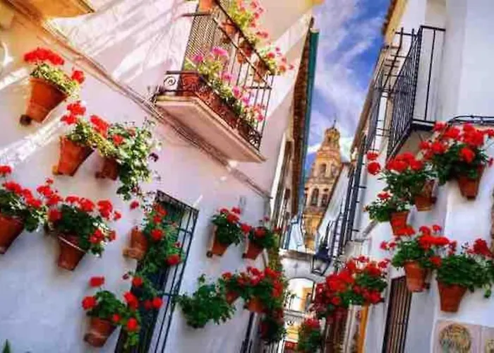 Apartamento Con Jardin Y Piscina En Cordoba